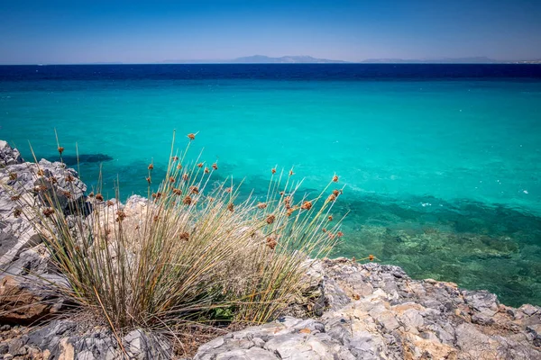 Milli Park, Dilek National Park, Kusadasi, Turkije — Stockfoto