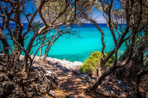 Milli Park, Dilek National Park, Kusadasi, Turkey. Pine trees and sea — Stock Photo, Image