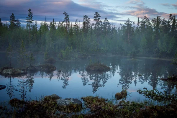 Летняя ночь пейзаж на севере Кольского полуострова в России. Белые ночи, озера, леса и туман в болотах — стоковое фото