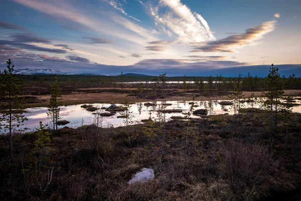 Summer Night landscape in the north of the Kola Peninsula in Russia. White nights, lakes, forests and haze in the swamps — 图库照片