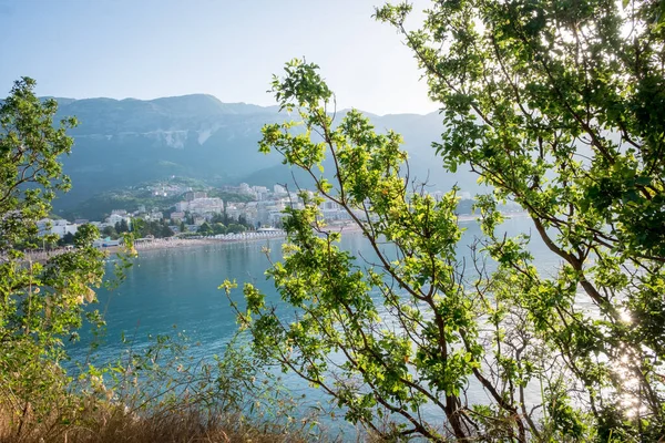 Vista da praia de Becici através de árvores e grama ao nascer do sol. Amigo. Montenegro — Fotografia de Stock