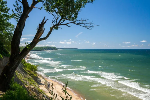 Östersjöns strand. Svetlogorsk. Ryssland. utsikt genom parkens träd — Stockfoto