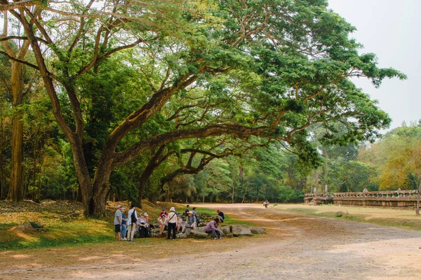 Siemreap Camboya Marzo 2013 Los Turistas Sientan Bajo Árbol Cerca — Foto de Stock