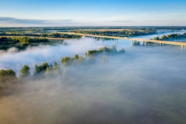 Sabahın erken saatlerinde. Sisli nehir. Nehir vadisi, sabah sisi, gün doğumunda. Yukarıdan bak. Güneş ışınları ağaçların üzerinden sisi delip geçiyor.