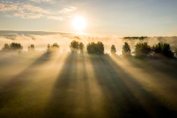Early Morning Landscape Foggy River River Valley Morning Fog Sunrise — Stock Photo, Image