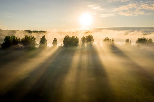 Paisagem Matinal Rio Foggy Vale Rio Neblina Manhã Nascer Sol — Fotografia de Stock