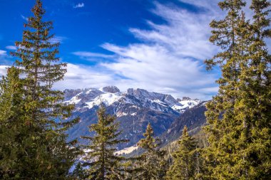 Güneşli kış gününde kozalaklı orman ve dağların manzarası. Dolomites dağlarındaki Val Gardena kayak merkezi. Passo Pordoi geçidi. , İtalya