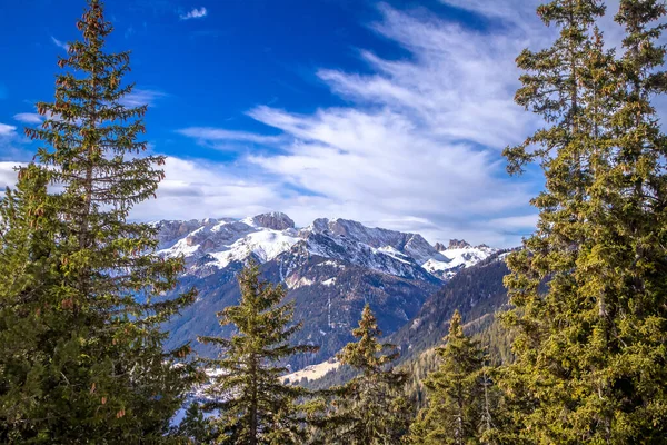 Άποψη Των Κωνοφόρων Δάσος Και Βουνά Ηλιόλουστη Μέρα Του Χειμώνα — Φωτογραφία Αρχείου