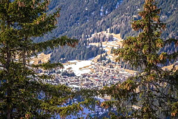Pohled Jehličnatý Les Hory Slunečném Zimním Dni Lyžařské Středisko Val — Stock fotografie