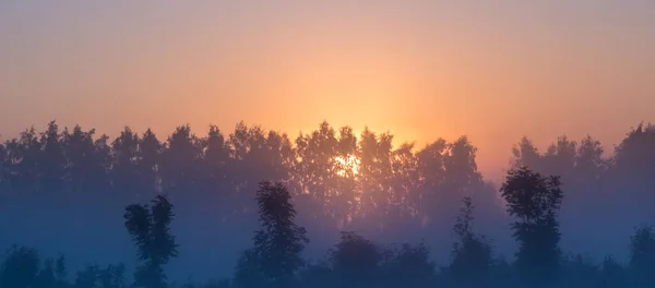 Orange Sun Rising Trees Meadow Covered Dense Fog Golden Hour — Stock Photo, Image