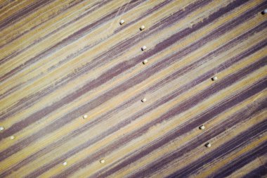 Saman balyalarının en üst görüntüsü, hasat sonrası tarlalarda saman ruloları