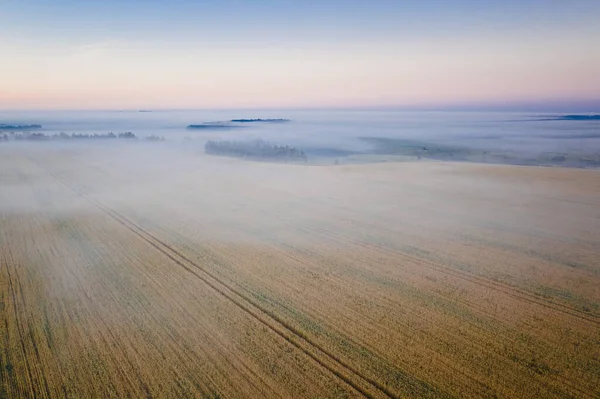 Kırsal kesimde gün doğumunda çayırlarda sabah sisi ufuktaki manzaranın havadan görünüşü, sisli ağaçlar..
