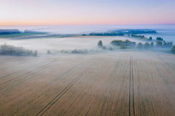 Morgennebel Auf Den Wiesen Bei Sonnenaufgang Der Landschaft Luftaufnahme Höhe — Stockfoto