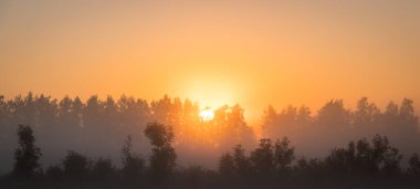 Ağaçların arkasından yükselen turuncu güneş yoğun sis ile kaplı bir çayır. Altın saat, sisli sabah, renkli ışıklar