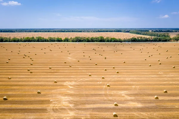 Top View Hay Bales Agriculture Field Harvest Hay Rolls — Stock Photo, Image