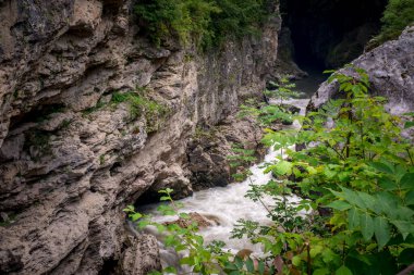 Khadzhokhsky Vadisi 'nde Belaya Nehri. Yazın. Rusya, Adygea Cumhuriyeti .