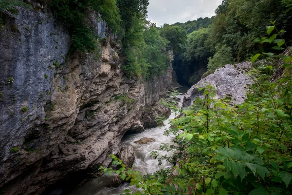 Khadzhokhsky Vadisi 'nde Belaya Nehri. Yazın. Rusya, Adygea Cumhuriyeti .