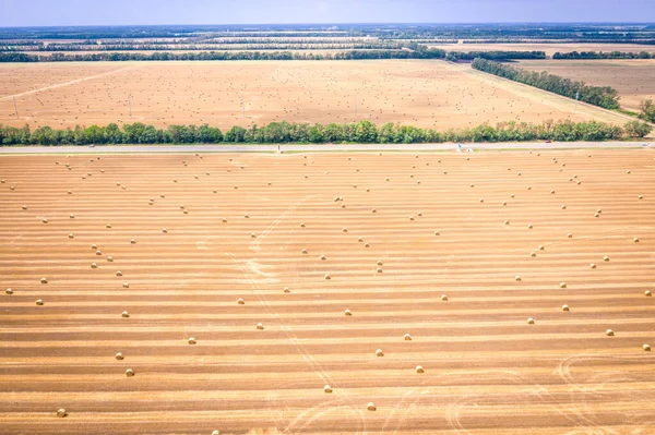 Vista Superior Fardos Feno Campo Agricultura Após Colheita Com Rolos Fotos De Bancos De Imagens Sem Royalties