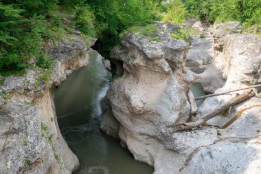 Khadzhokhsky Vadisi 'nde Belaya Nehri. Yazın. Rusya, Adygea Cumhuriyeti .
