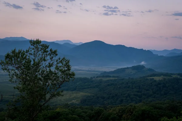 黎明前一小时 晨雾中的山的轮廓 草木的前景 俄罗斯联邦Adygea共和国Lagonaki高原 — 图库照片