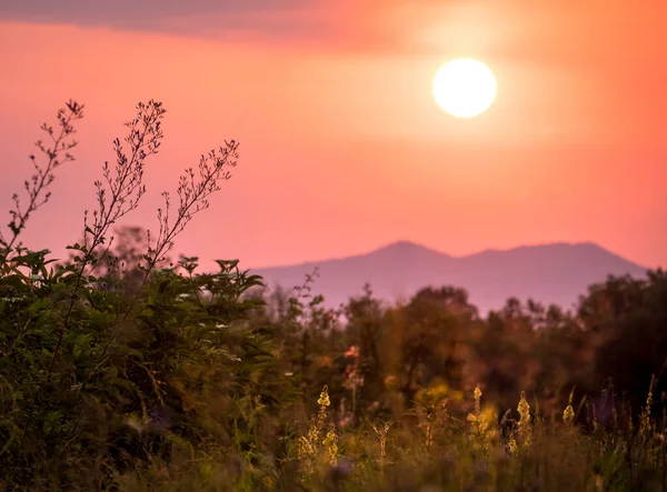 The sun rises against the background of the mountains. Green grass in the morning sun