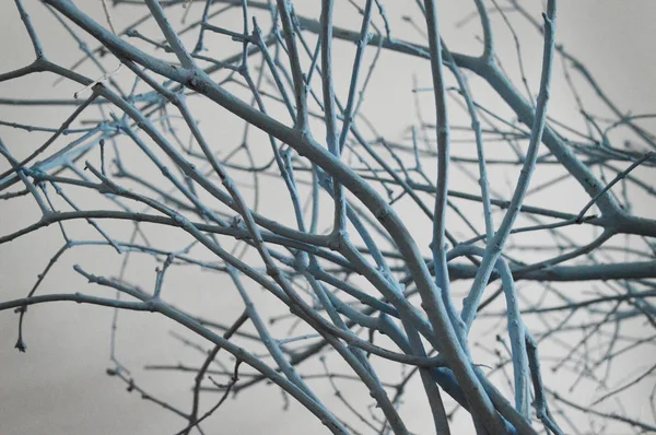 Branches Peintes Peinture Sur Fond Tissu — Photo