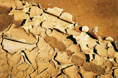 kurutulmuş yol yaz yağmur sonra