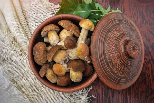 Raw Porcini Mushrooms Plate Green Leaves Forest Porcini Mushrooms Composition — Zdjęcie stockowe