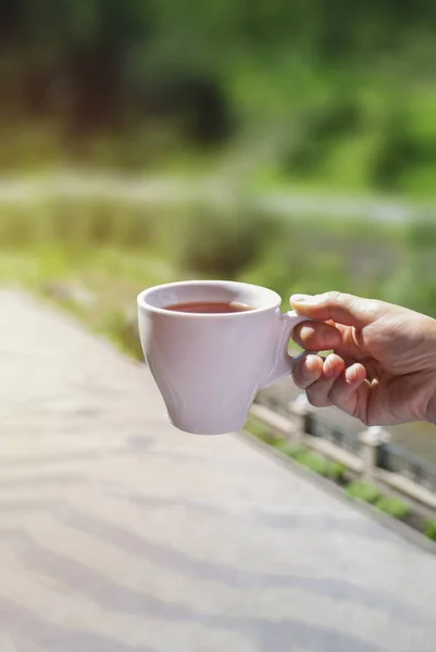 A mug of tea in a woman hand in sun ligh on the background of nature