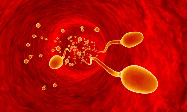 Sperm hücreleri rekabet. Sperm fallop tüpleri ile hareket. Sperm, gübreleme. 3D çizim. Elde edilebilir içinde yüksek-kararlılık ve çeşitli boyutlarda projenizin gereksinimlerini karşılamak için. Bu görüntü alırsanız, size çok minnettar olacaktır!