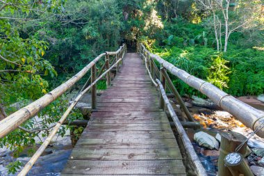 Paradise Valley doğa rezerv, Durban, Kwazulu Natal, Güney Afrika