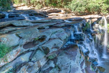 Paradise Valley doğa rezerv, Durban, Kwazulu Natal, Güney Afrika