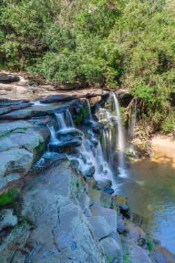 Paradise Valley doğa rezerv, Durban, Kwazulu Natal, Güney Afrika