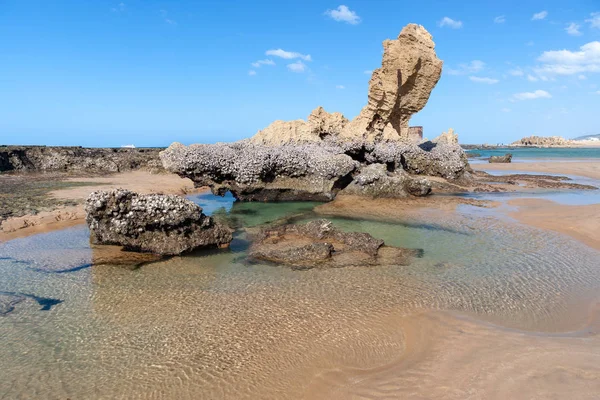 Umdloti Beach,: Kwazulu Natal, South Africa