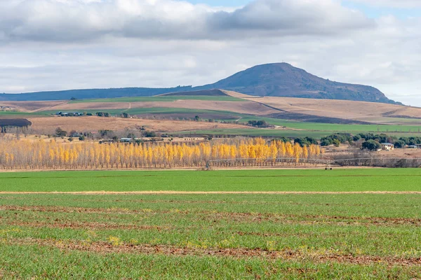 Drakensberg Dağları,: Kwazulu Natal, South Africa