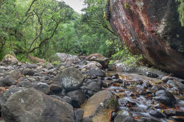 Gökkuşağı Gorge, Katedral tepe Doğa Rezervatı ' Drakensberg,: Kwazulu Natal, South Africa