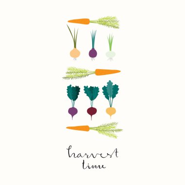 Elle çizilmiş en az vektör çizim kök sebzeler ile yazı alıntı hasat zamanı, Bahçe ve sonbaharda hasat için kavramı