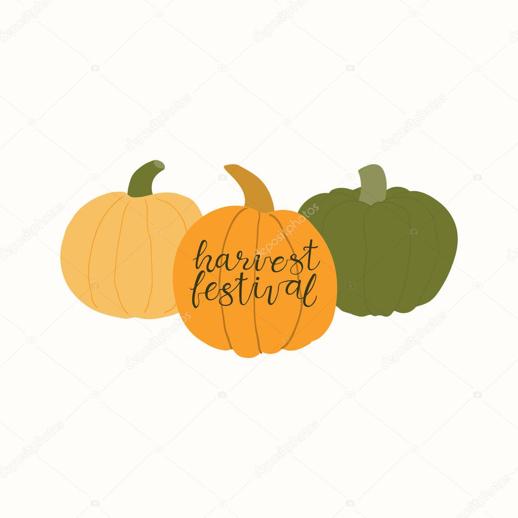 Hand drawn vector illustration of a pumpkins with lettering quote Harvest festival, Concept for gardening and autumn harvest