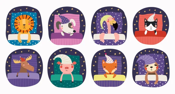 Conjunto Divertidos Animales Dormidos Lindos Gorro Noche Con Almohadas Mantas — Vector de stock