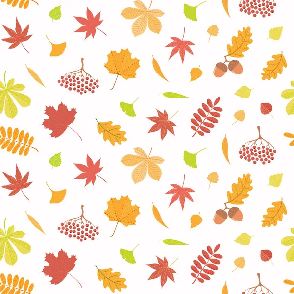 Seamless Repeat Pattern Different Falling Leaves White Background Hand Drawn Royalty Free Stock Vectors