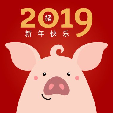 2019 yeni yıl tebrik kartı ile şirin domuz, numaraları, Çince metin domuz, mutlu yeni yıl. Vektör çizim. Konsept Tatil afiş için