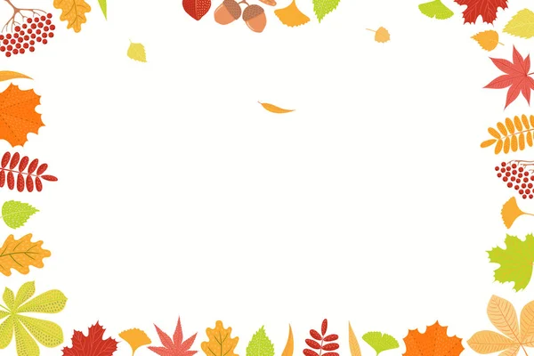 Hand Drawn Frame Colorful Autumn Leaves White Background Vector Illustration — Stock Vector