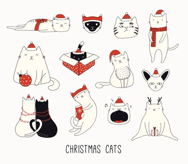 Coleção Doodles Engraçados Bonitos Gatos Diferentes Chapéus Papai Noel Objetos —  Vetores de Stock