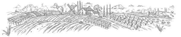 Сельский Пейзаж Рука Нарисована Растением Векторная Иллюстрация — стоковый вектор