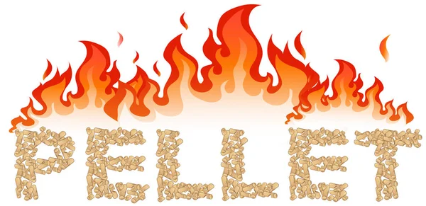 Pellet skriven med flames — Stock vektor