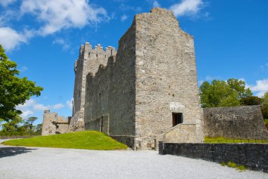 Mavi gökyüzü ile Ross Kalesi, County Kerry, İrlanda