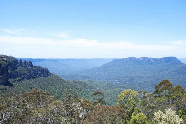 Modré hory, NSW Australia — Stock fotografie