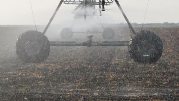 Sprinkler Berendezés Permetezés Öntözővíz Mezőben Felvétel Öntözés — Stock videók