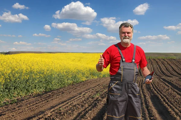 Ziraat Mühendisi Veya Çiftçi Çiçek Açan Kanola Alanını Inceleyin Hareketi — Stok fotoğraf