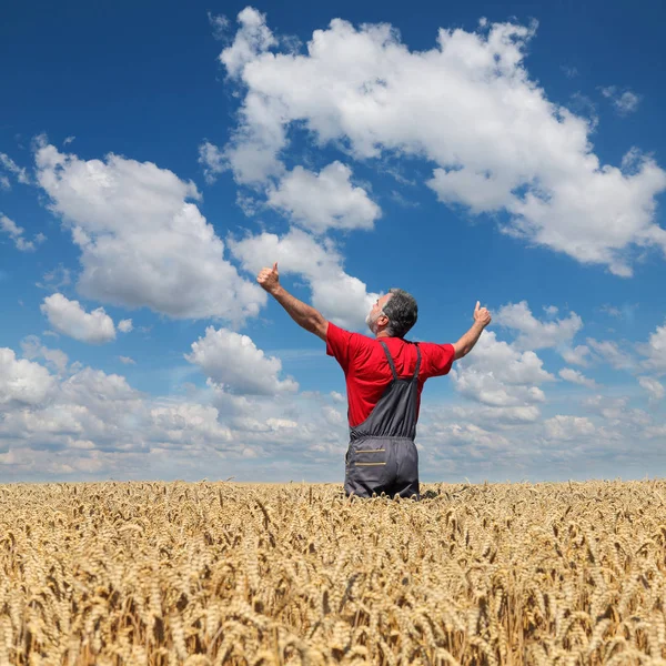 手と親指をフィールドで身振りで示す幸せな農家 — ストック写真
